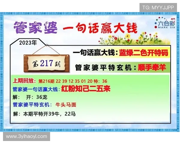 探索澳门彩网子的魅力与玩法，尽享博彩乐趣